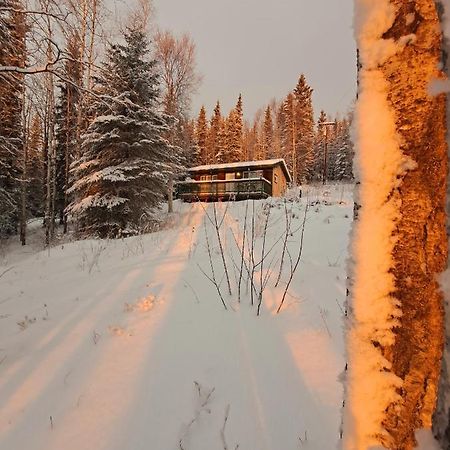 Northwoods Cottage Bed And Breakfast Fairbanks Dış mekan fotoğraf