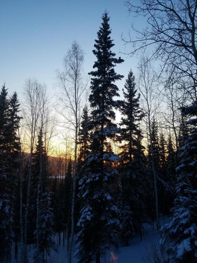 Northwoods Cottage Bed And Breakfast Fairbanks Dış mekan fotoğraf