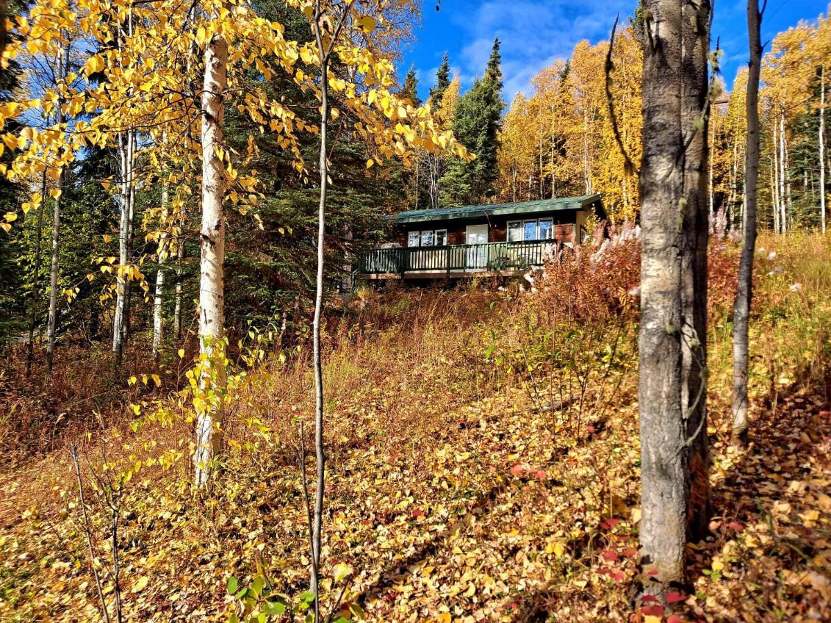 Northwoods Cottage Bed And Breakfast Fairbanks Dış mekan fotoğraf