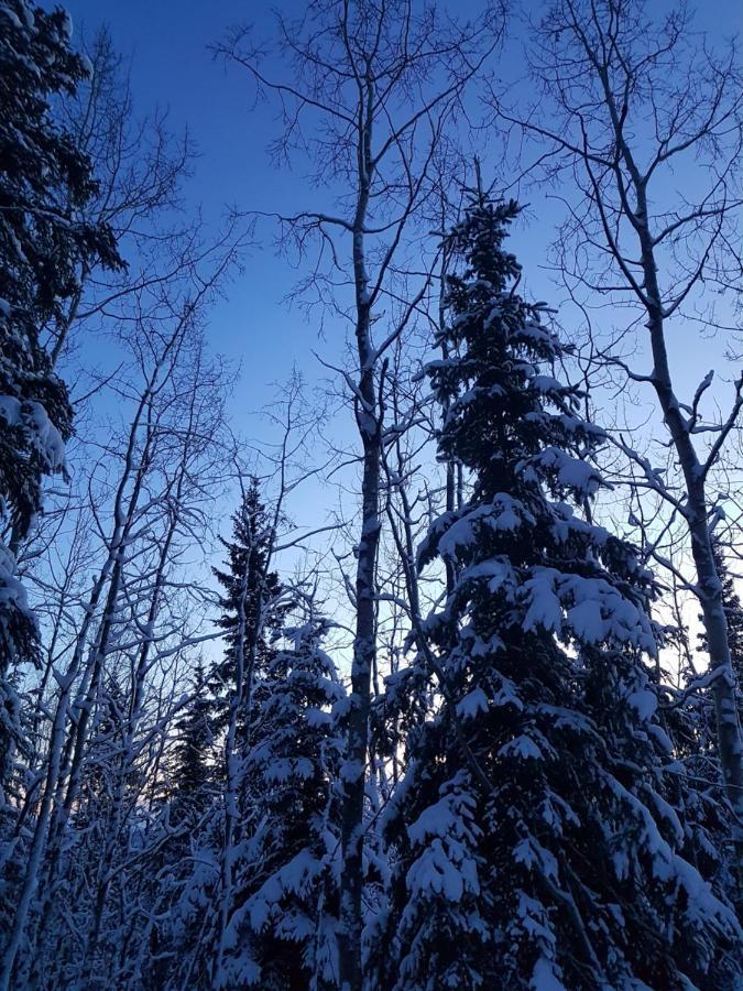 Northwoods Cottage Bed And Breakfast Fairbanks Dış mekan fotoğraf
