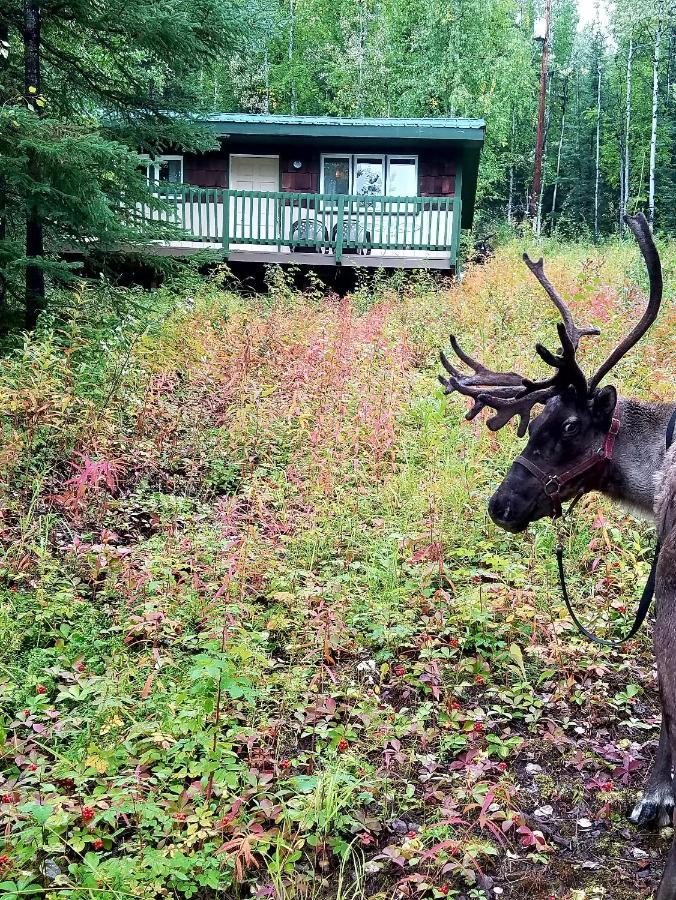 Northwoods Cottage Bed And Breakfast Fairbanks Dış mekan fotoğraf