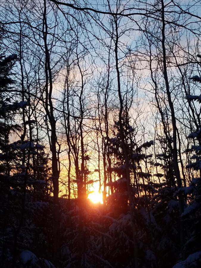 Northwoods Cottage Bed And Breakfast Fairbanks Dış mekan fotoğraf