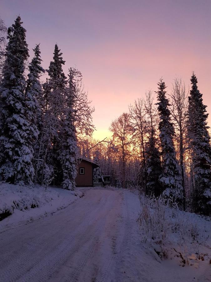 Northwoods Cottage Bed And Breakfast Fairbanks Dış mekan fotoğraf