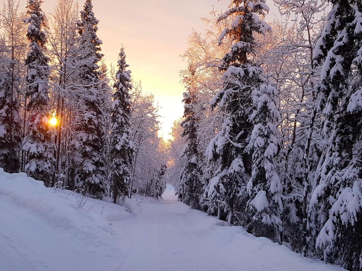 Northwoods Cottage Bed And Breakfast Fairbanks Dış mekan fotoğraf