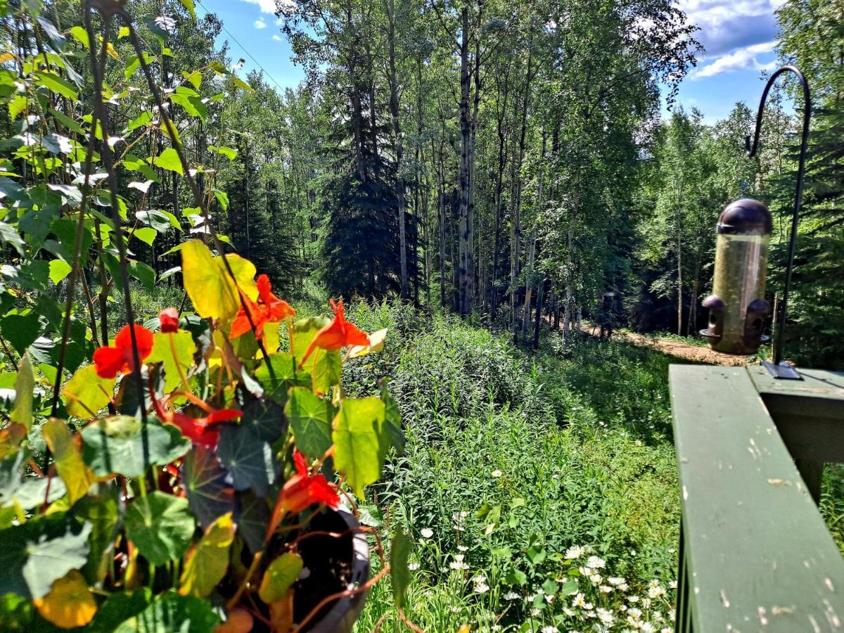 Northwoods Cottage Bed And Breakfast Fairbanks Dış mekan fotoğraf