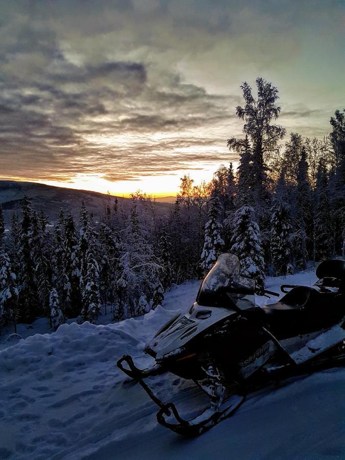Northwoods Cottage Bed And Breakfast Fairbanks Dış mekan fotoğraf