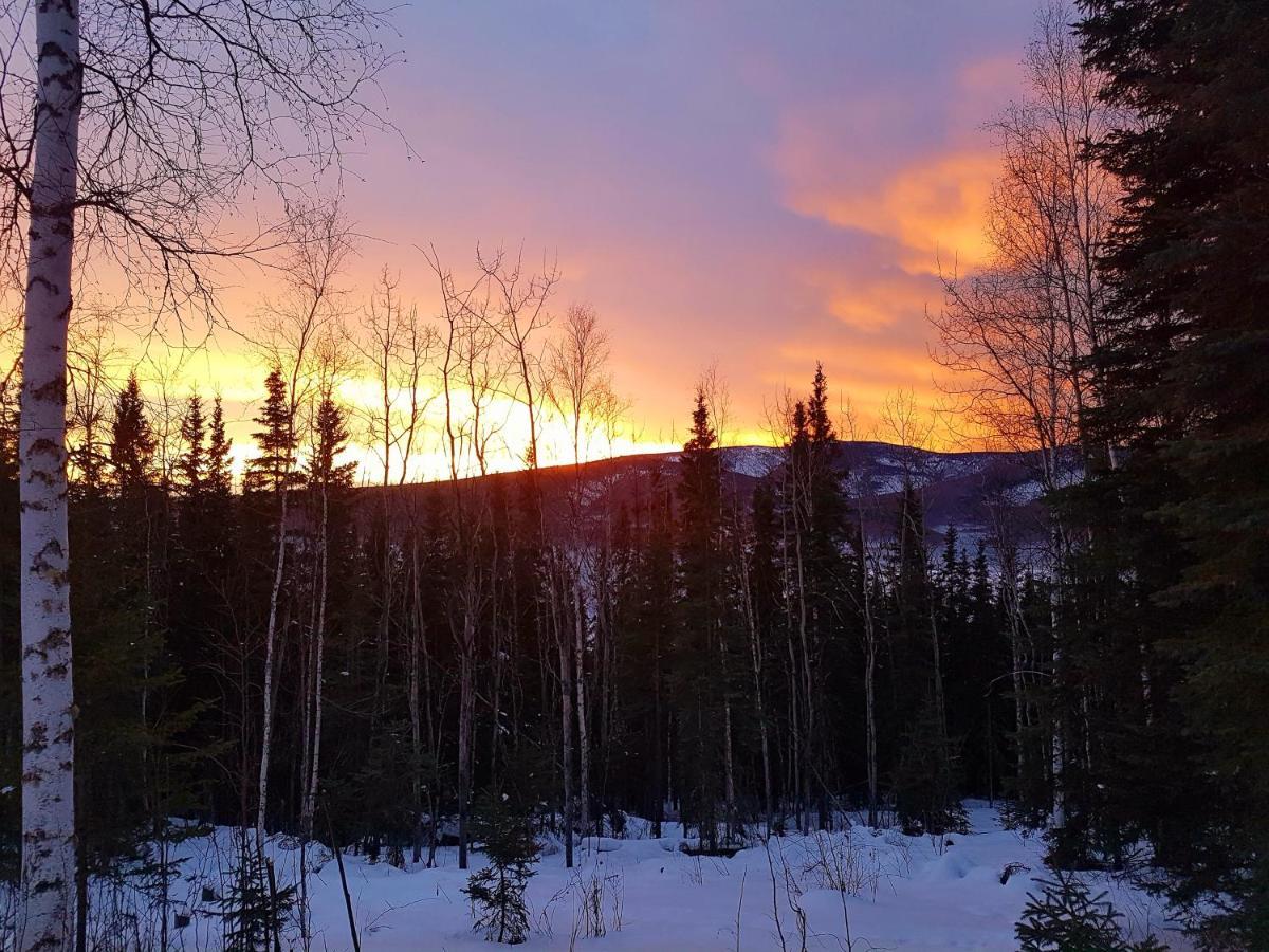Northwoods Cottage Bed And Breakfast Fairbanks Dış mekan fotoğraf