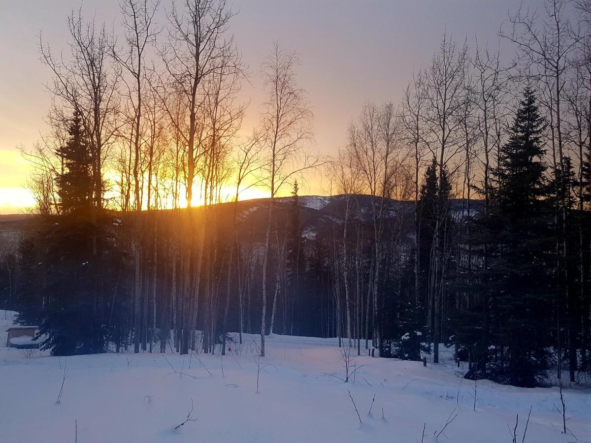Northwoods Cottage Bed And Breakfast Fairbanks Dış mekan fotoğraf