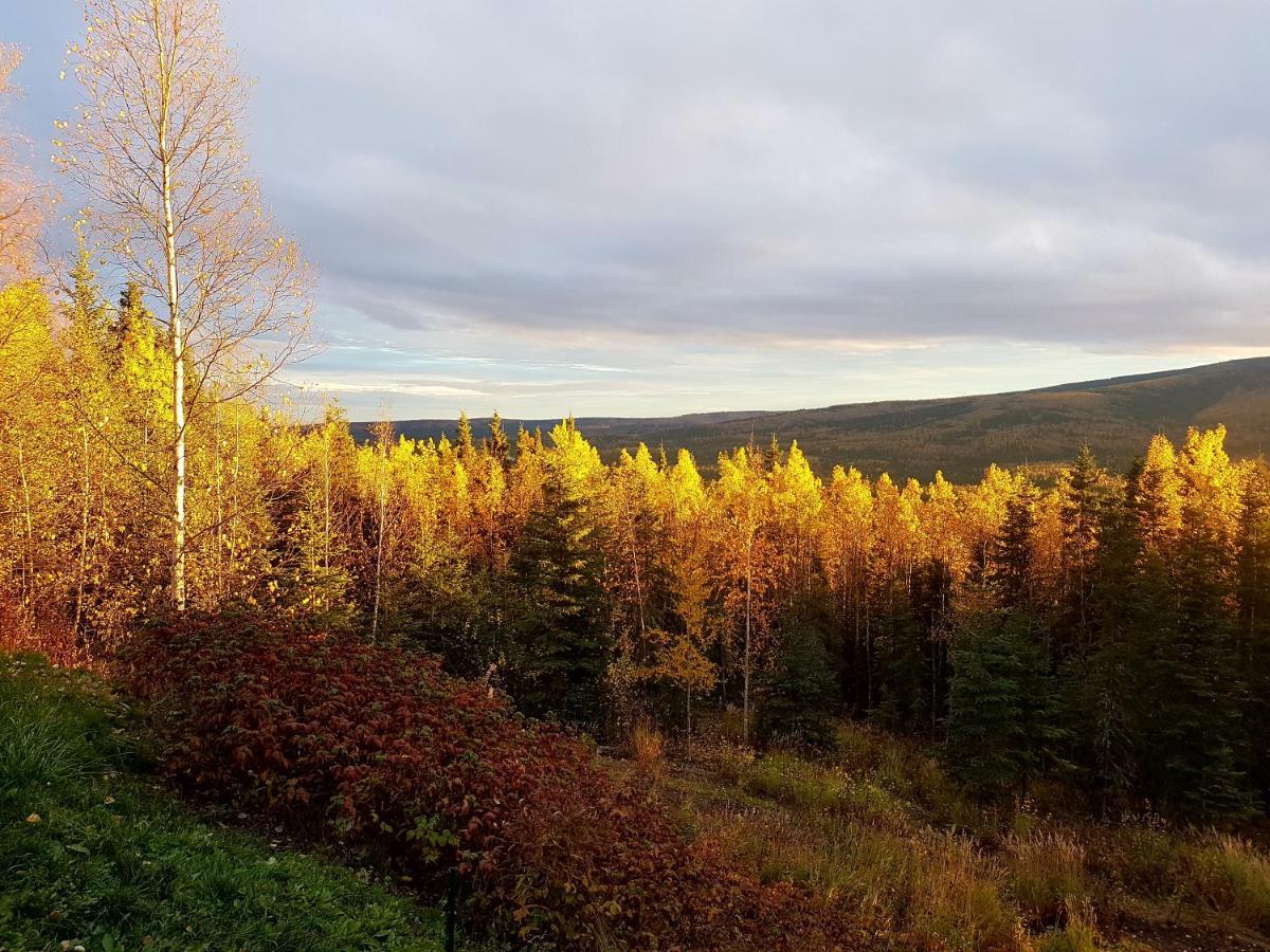 Northwoods Cottage Bed And Breakfast Fairbanks Dış mekan fotoğraf