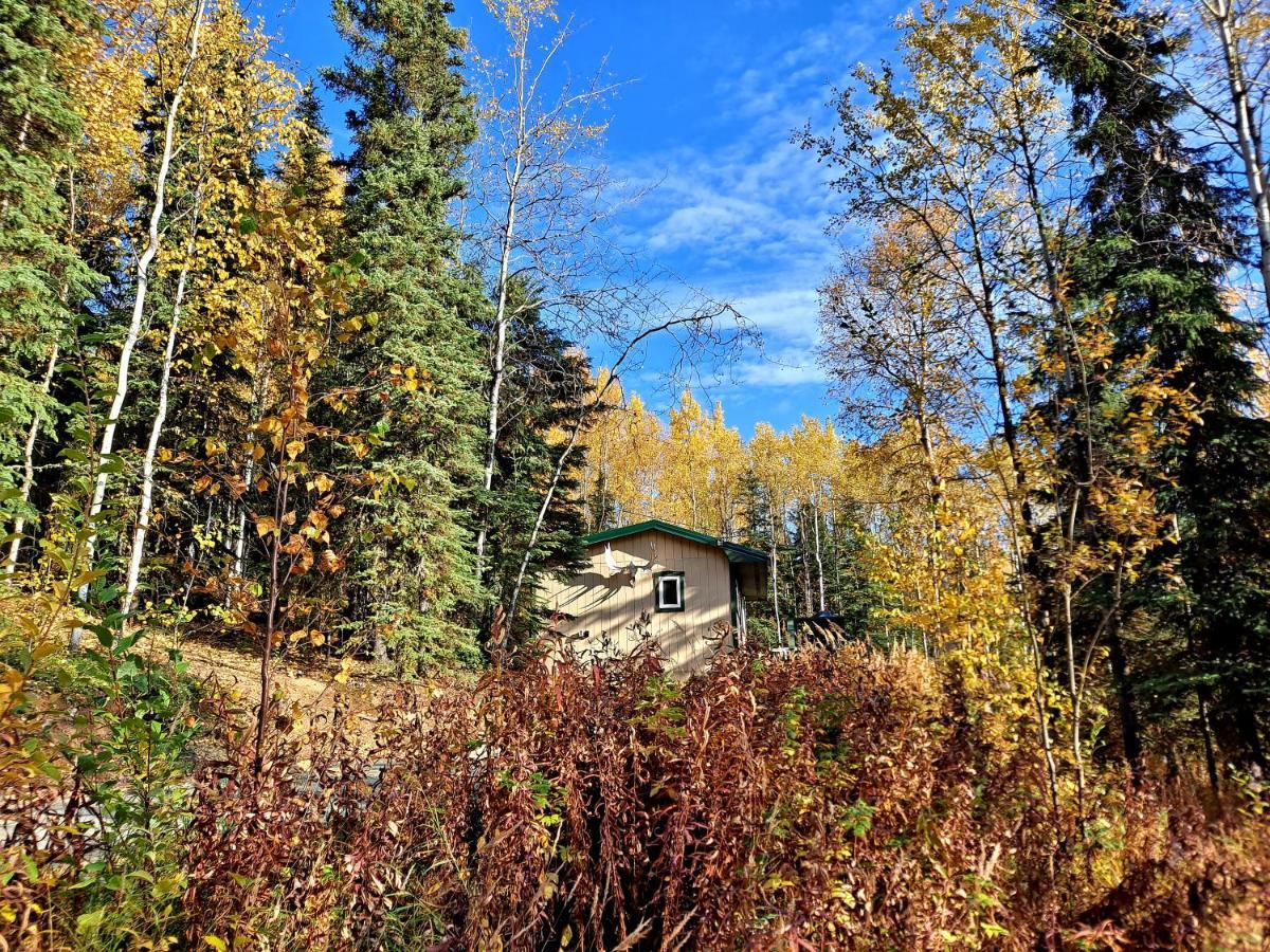 Northwoods Cottage Bed And Breakfast Fairbanks Dış mekan fotoğraf