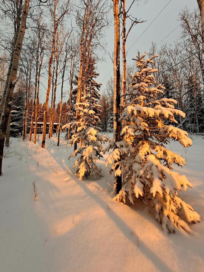 Northwoods Cottage Bed And Breakfast Fairbanks Dış mekan fotoğraf